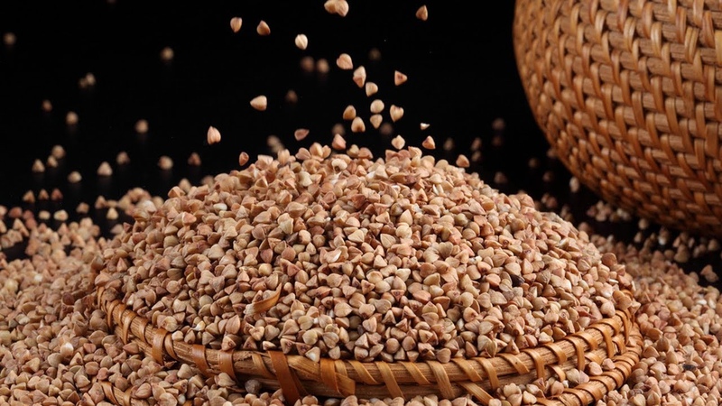 What kind of buckwheat is the largest - a detailed description