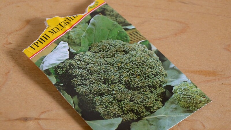 Broccoli Green Magic F1: description, cultivation features, reviews
