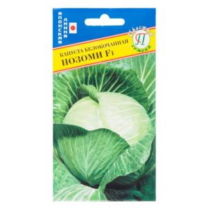 Nozomi f1 ultra-early ripening cabbage hybrid