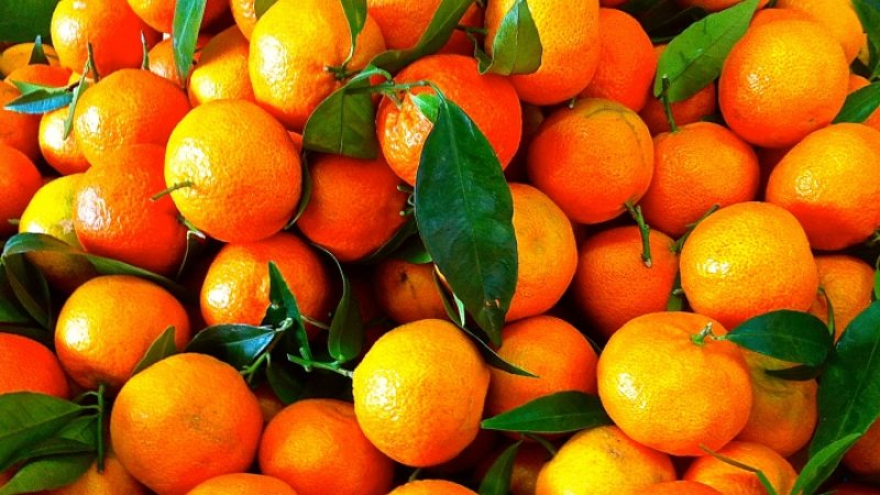 What is the Difference Between Clementines and Tangerines and What's Healthier