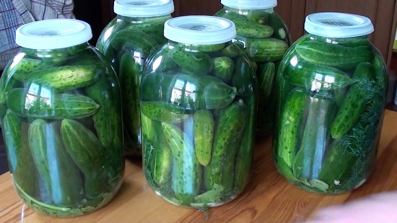Cold method of pickling cucumbers: recipes