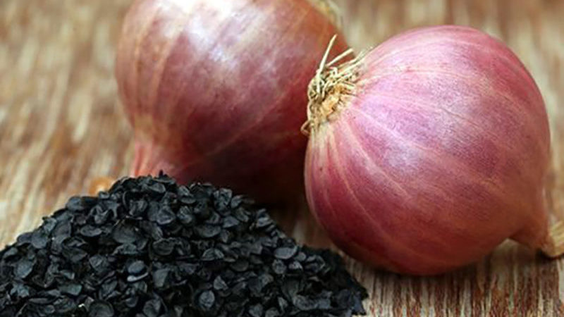 Recommendations of experienced gardeners: is it possible to sow black onions before winter and when to do it