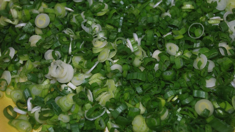 We prepare greens for the winter: is it possible to freeze green onions and how to do it correctly