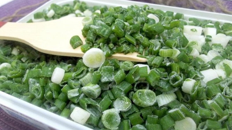 We prepare greens for the winter: is it possible to freeze green onions and how to do it correctly