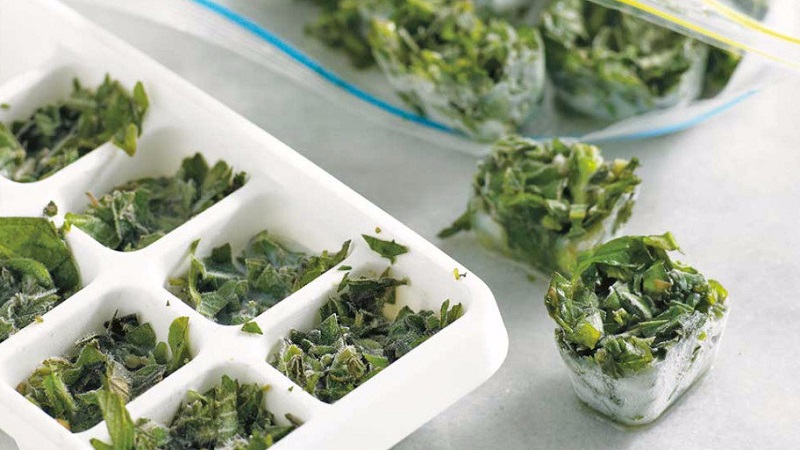 We prepare greens for the winter: is it possible to freeze green onions and how to do it correctly