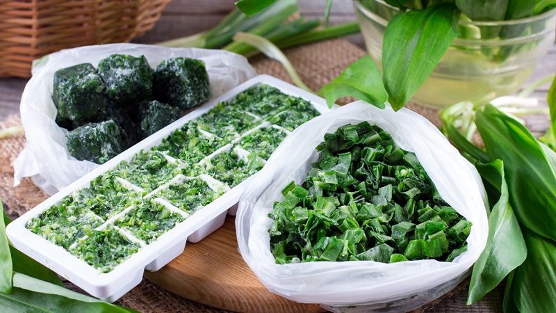 We prepare greens for the winter: is it possible to freeze green onions and how to do it correctly