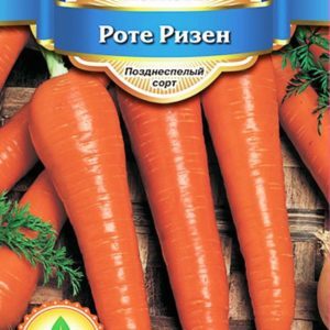 Features of the Rote Riesen carrot variety: description, agricultural technology, reviews