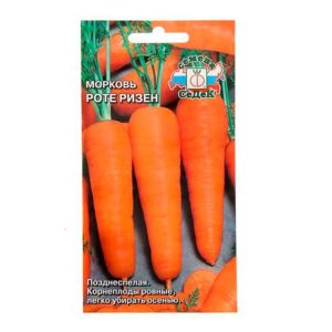 Features of the Rote Riesen carrot variety: description, agricultural technology, reviews