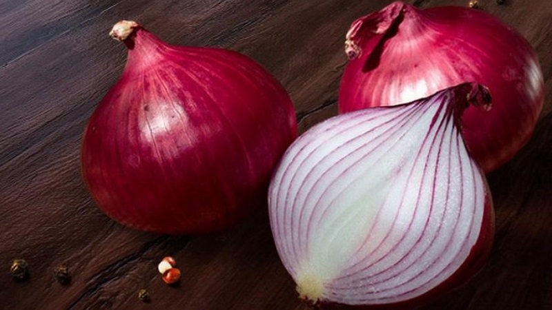Features of growing and useful properties of red onions