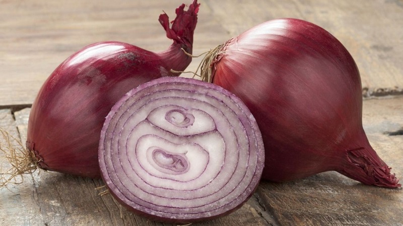 Features of growing and useful properties of red onions