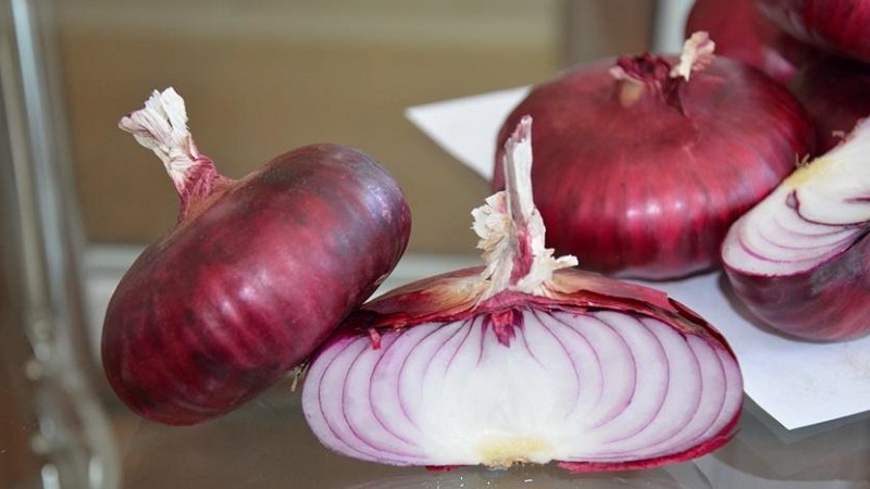 Features of growing and useful properties of red onions