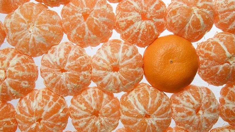 Health benefits and harms of tangerines, energy value and rules of use