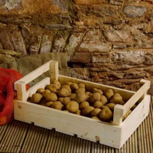 Features of proper storage of potatoes: from A to Z