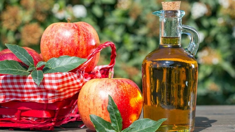 Instant Pickled Cabbage Recipes with Apple Cider Vinegar