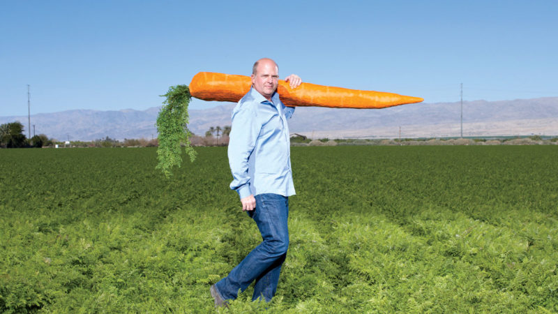 Record holders among vegetables: what is the largest carrot in the world and who grew it