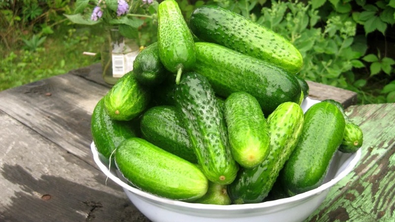 The most delicious crispy canned cucumber recipes from experienced housewives