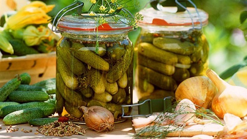 The most delicious crispy canned cucumber recipes from experienced housewives