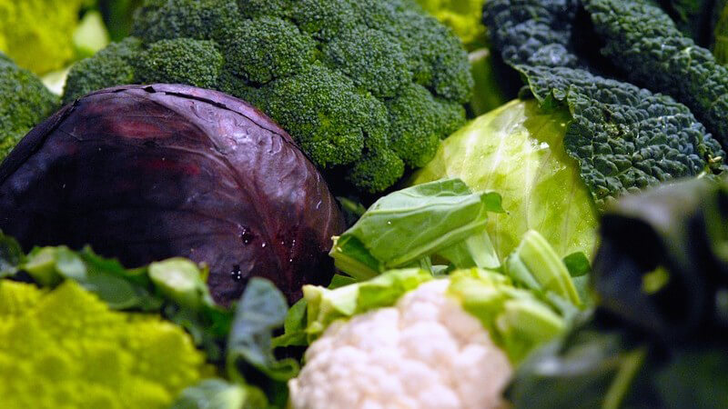 How many calories are in fresh cabbage