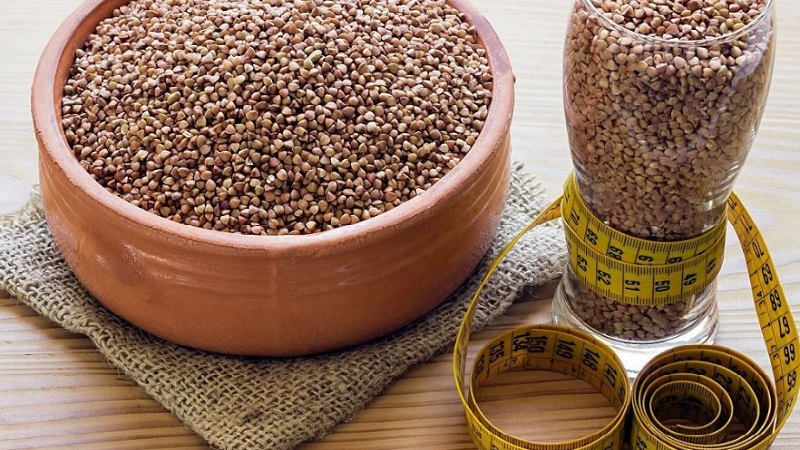 What kind of buckwheat is the largest - a detailed description