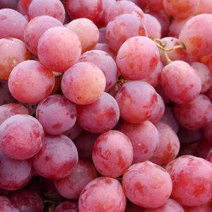 Delicate, fragrant Veles grape variety from Ukrainian breeders