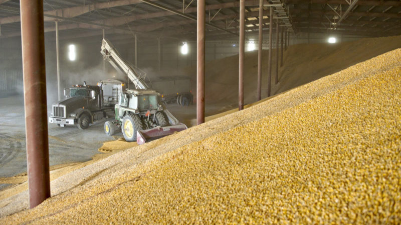 Terms, rules and methods for storing wheat on an industrial scale and at home