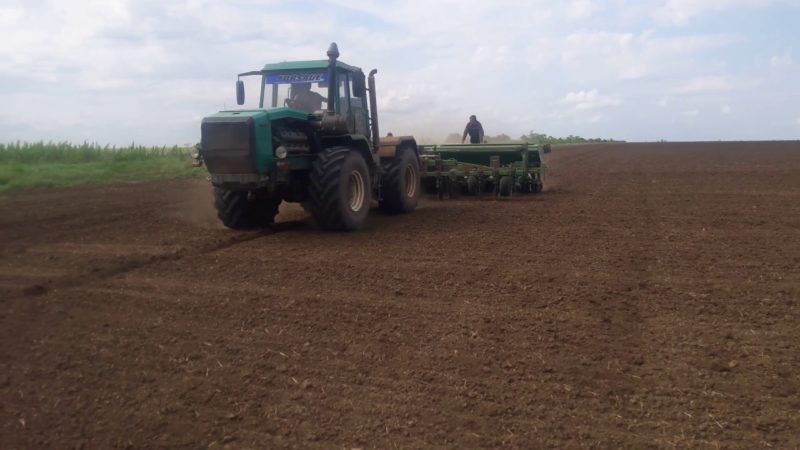 Dates and rates of millet sowing with an ordinary sowing method and further care of plantings
