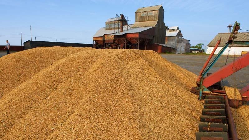 Terms, rules and methods for storing wheat on an industrial scale and at home