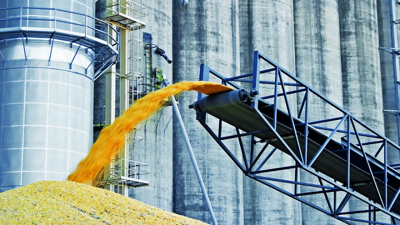 Terms, rules and methods for storing wheat on an industrial scale and at home