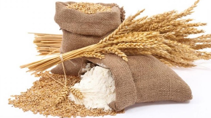 Wheat cultivation technology from preparation for sowing to harvest