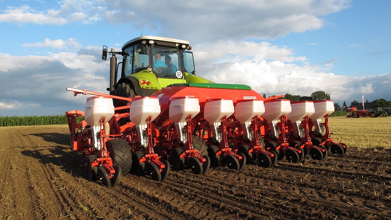 Wheat cultivation technology from preparation for sowing to harvest