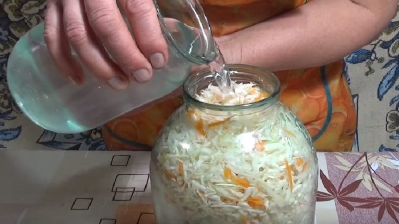 We save the workpieces for a long time: is it possible to freeze sauerkraut and how to do it correctly