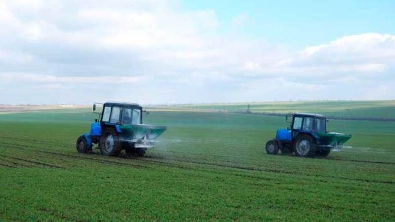 What is good about nitrogen fertilization of winter wheat and how it is applied