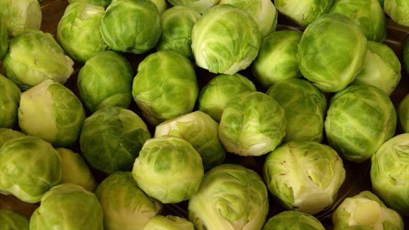 Brussels sprouts: description with photo and cultivation technology