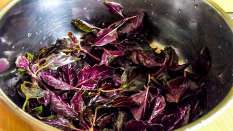 Purple basil - benefits and harms
