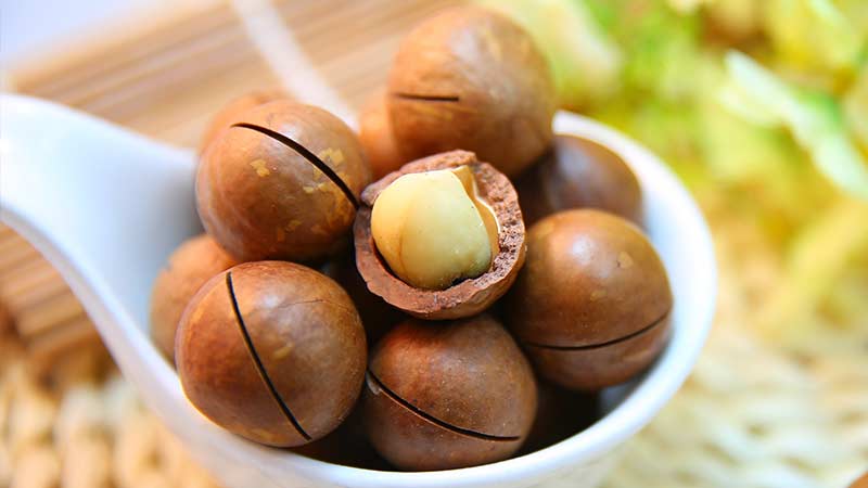 How is macadamia nut good for the body?