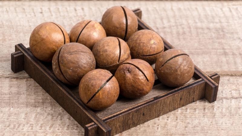 How is macadamia nut good for the body?