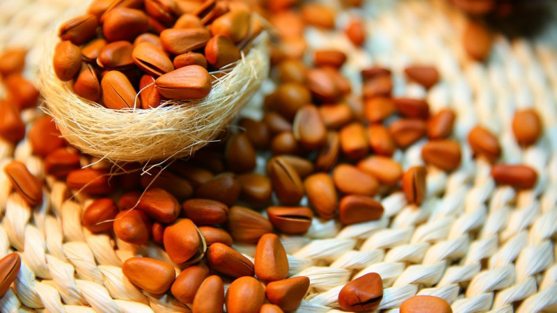 Why are pine nuts useful for women?