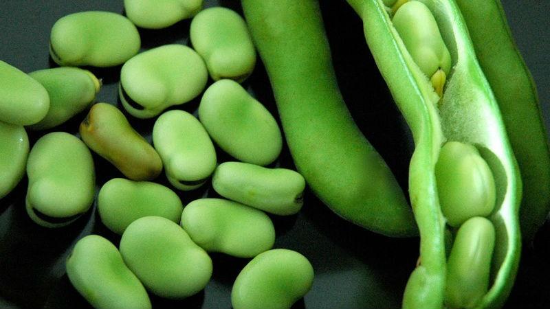What are beans and how are they different from beans