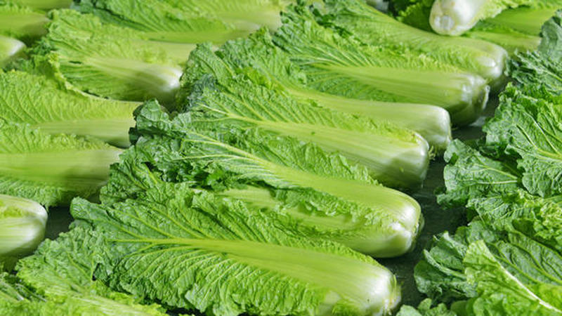 Chinese cabbage: description, photo, cultivation and storage