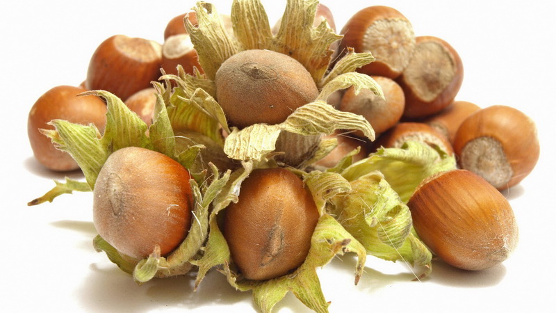 Hazelnuts - benefits and harms for women