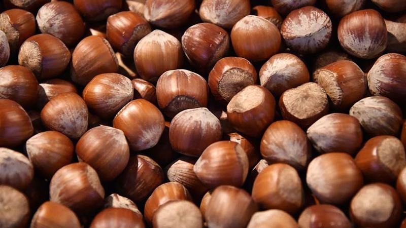 Hazelnuts - benefits and harms for women