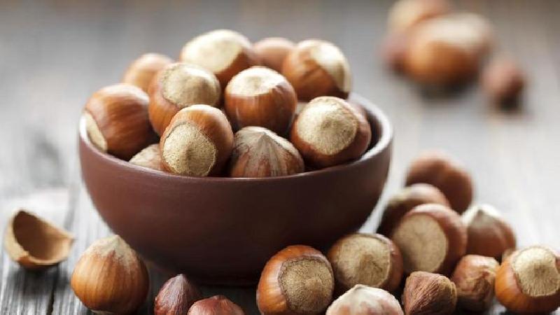 Hazelnuts - benefits and harms for women