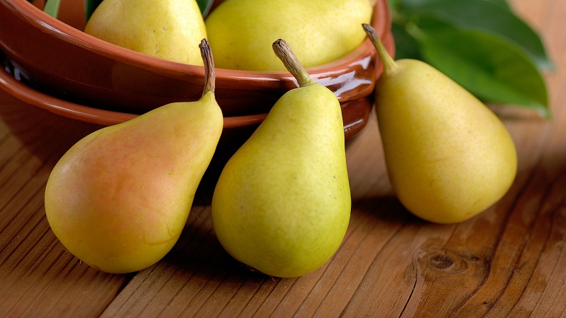 The chemical composition of the pear, calorie content and its benefits and harm to health
