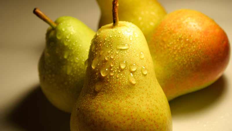 The chemical composition of the pear, calorie content and its benefits and harm to health