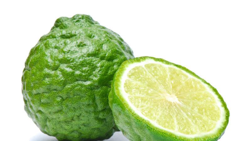 Kaffir lime - what is this plant