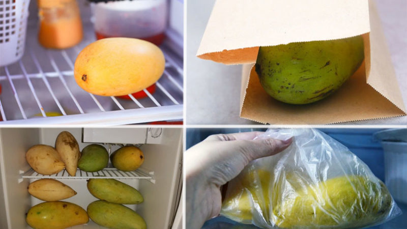 How to store a mango at home to keep it from spoiling