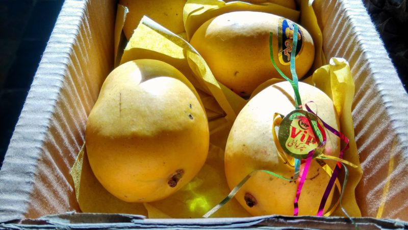 How to store a mango at home to keep it from spoiling