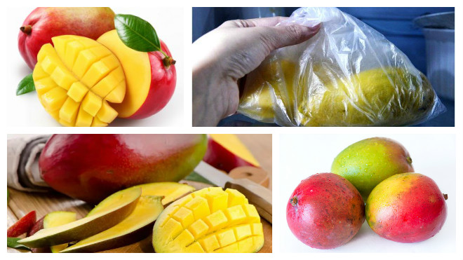 How to store a mango at home to keep it from spoiling