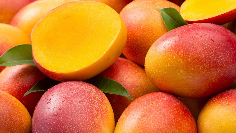 How to determine the degree of ripeness of a mango and ripen the fruit at home