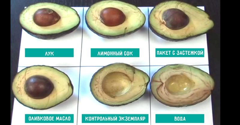 How to store a cut avocado properly